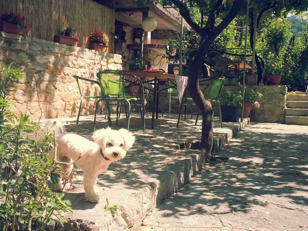 Apartmani Stefanovic Herceg Novi Exterior foto